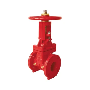 200 psi OS&Y Flanged Gate Valve 1