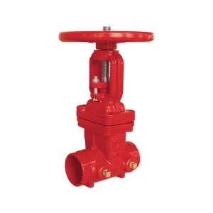 200 psi OS&Y Grooved Gate Valve 1