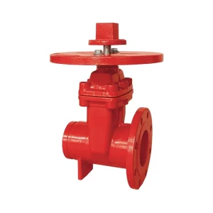 200psi NRS Flanged × Grooved Gate Valve 1