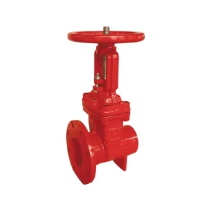 200psi OS&Y Flanged × Grooved Gate Valve 1