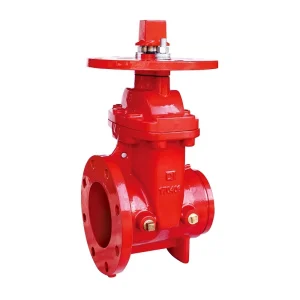 300psi NRS Flanged × Grooved Gate Valve 1