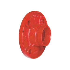 EN Threaded Flange 11