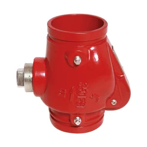 Grooved Check Valve